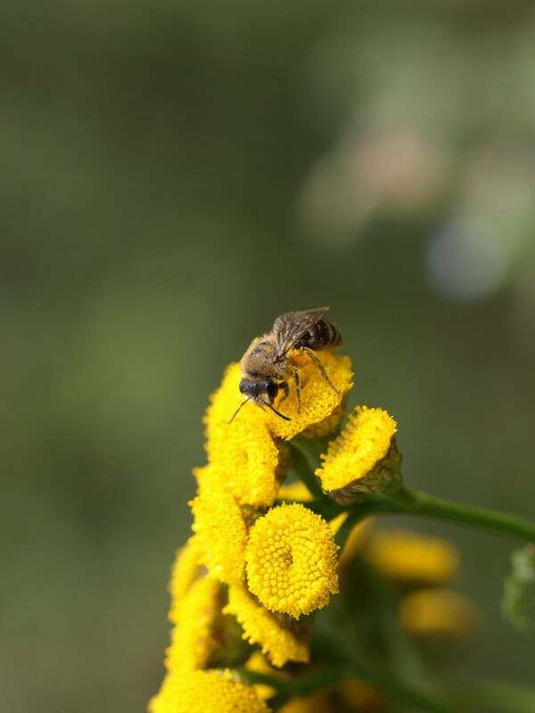 Linda Trein_BBR-Tour 2023_P1012348