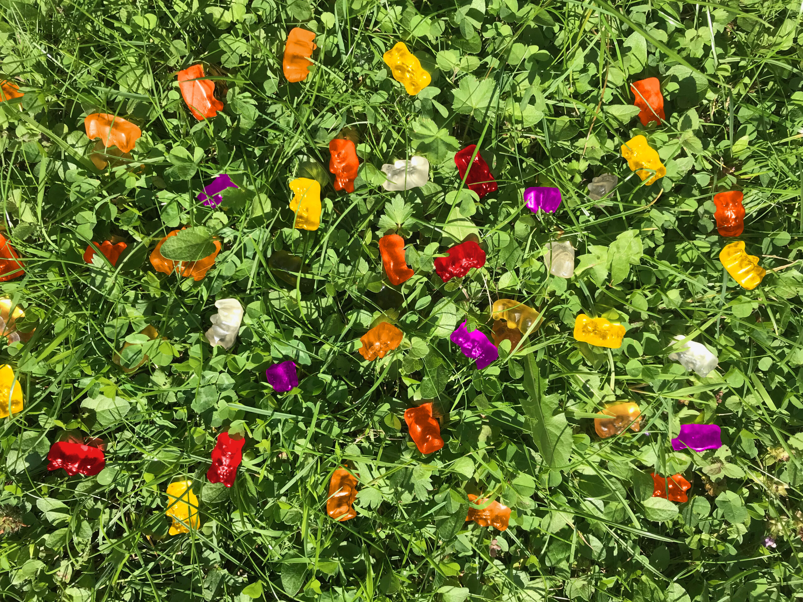 Gummibärchen-Effekt-auf-Blühflächen