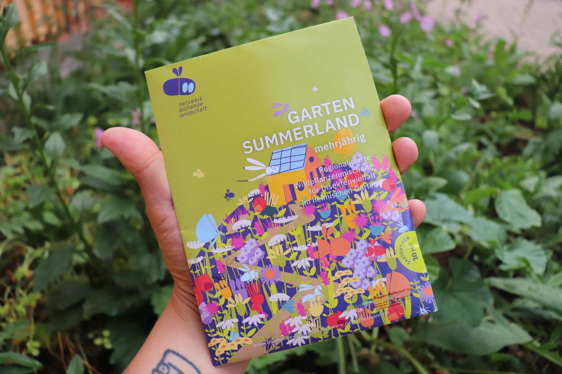 Saatgut Garten Summerland