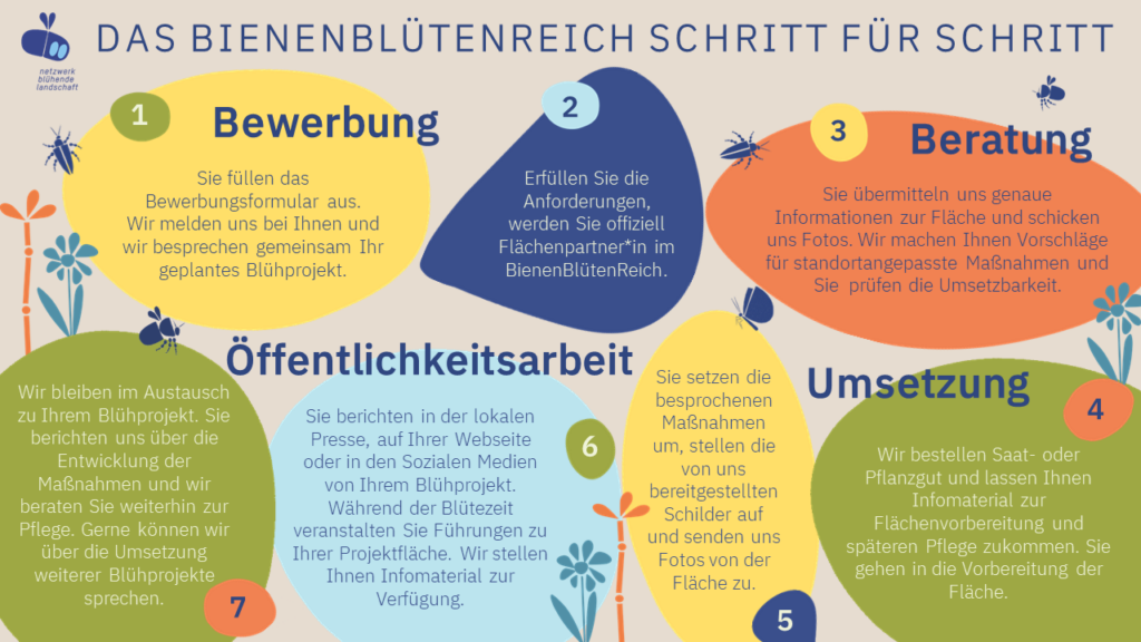 Projektablauf_BBR_neu 1 