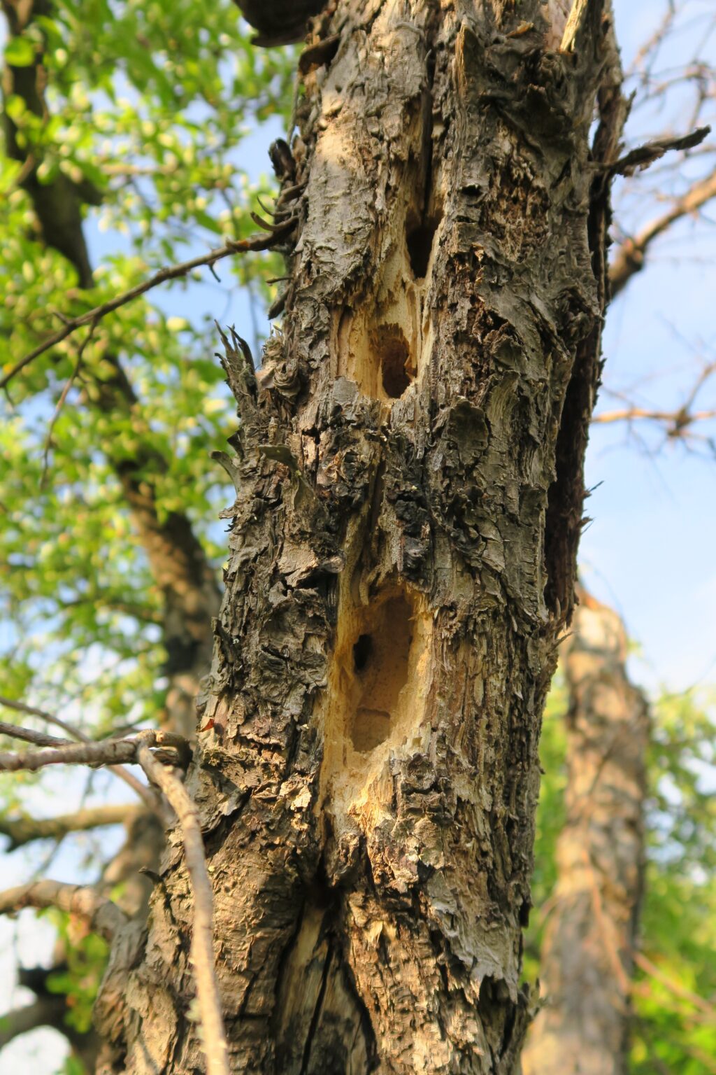 287030027_1215615705930783_8732208719127986505_n