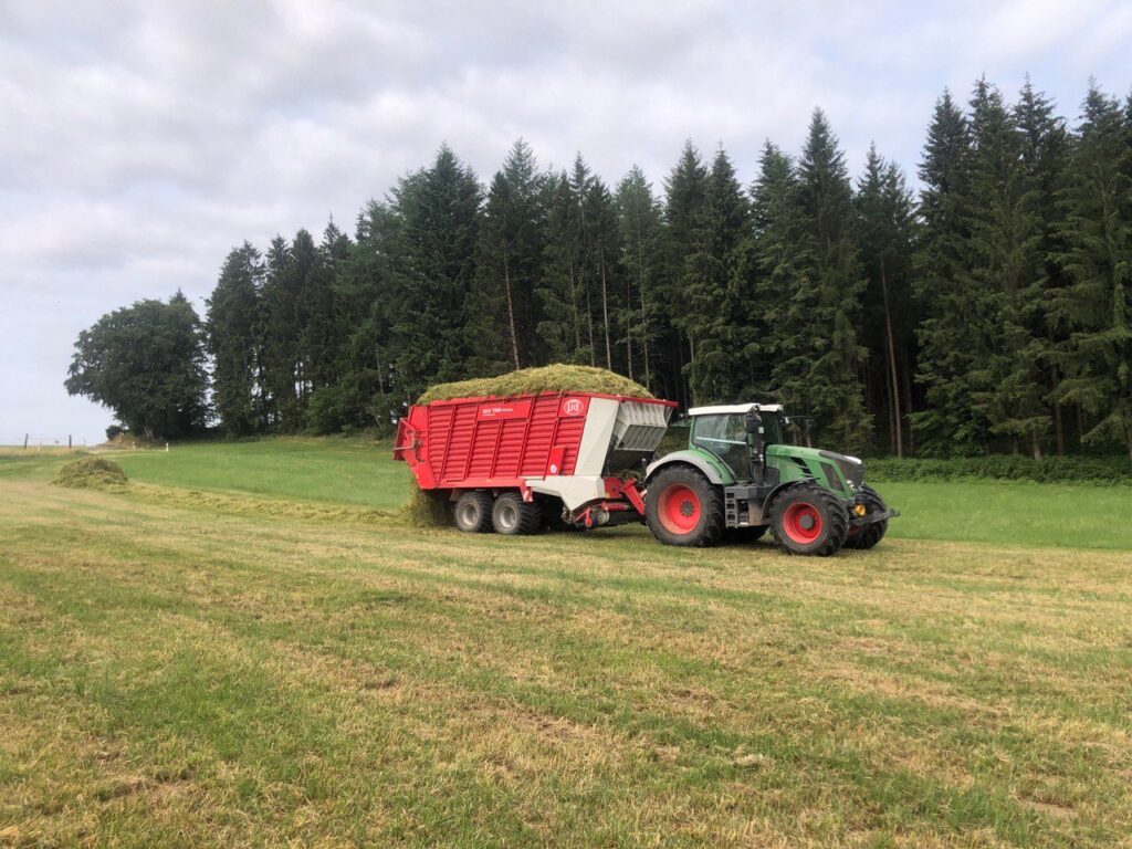 photo_5271695163678377699_y