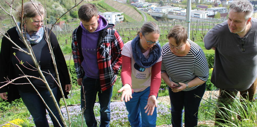 2727852_1_mainarticleimagedesk_image_70d80b7216370b41