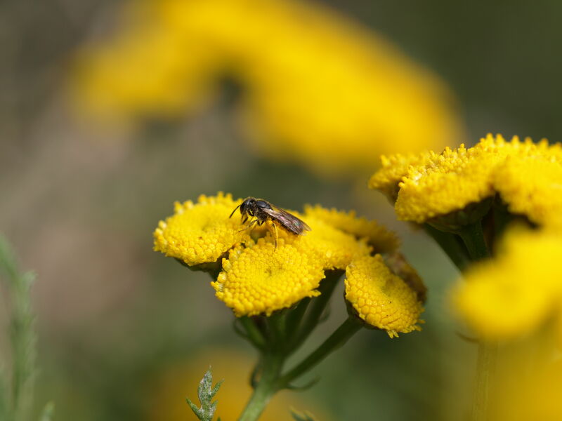 Linda Trein_BBR-Tour 2023_P1012344