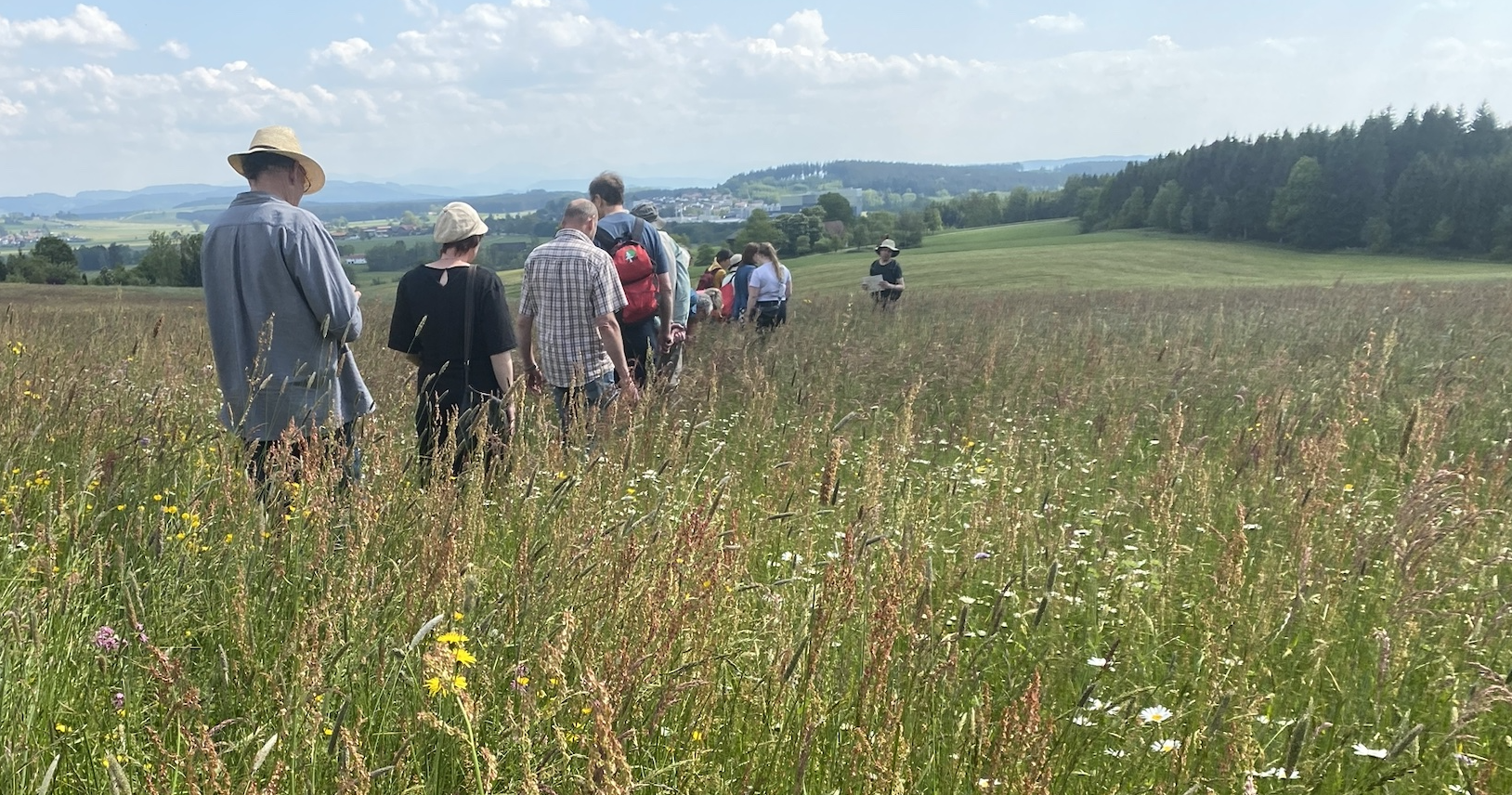 20240605 Grünlandtag Balterazhofen_Bild