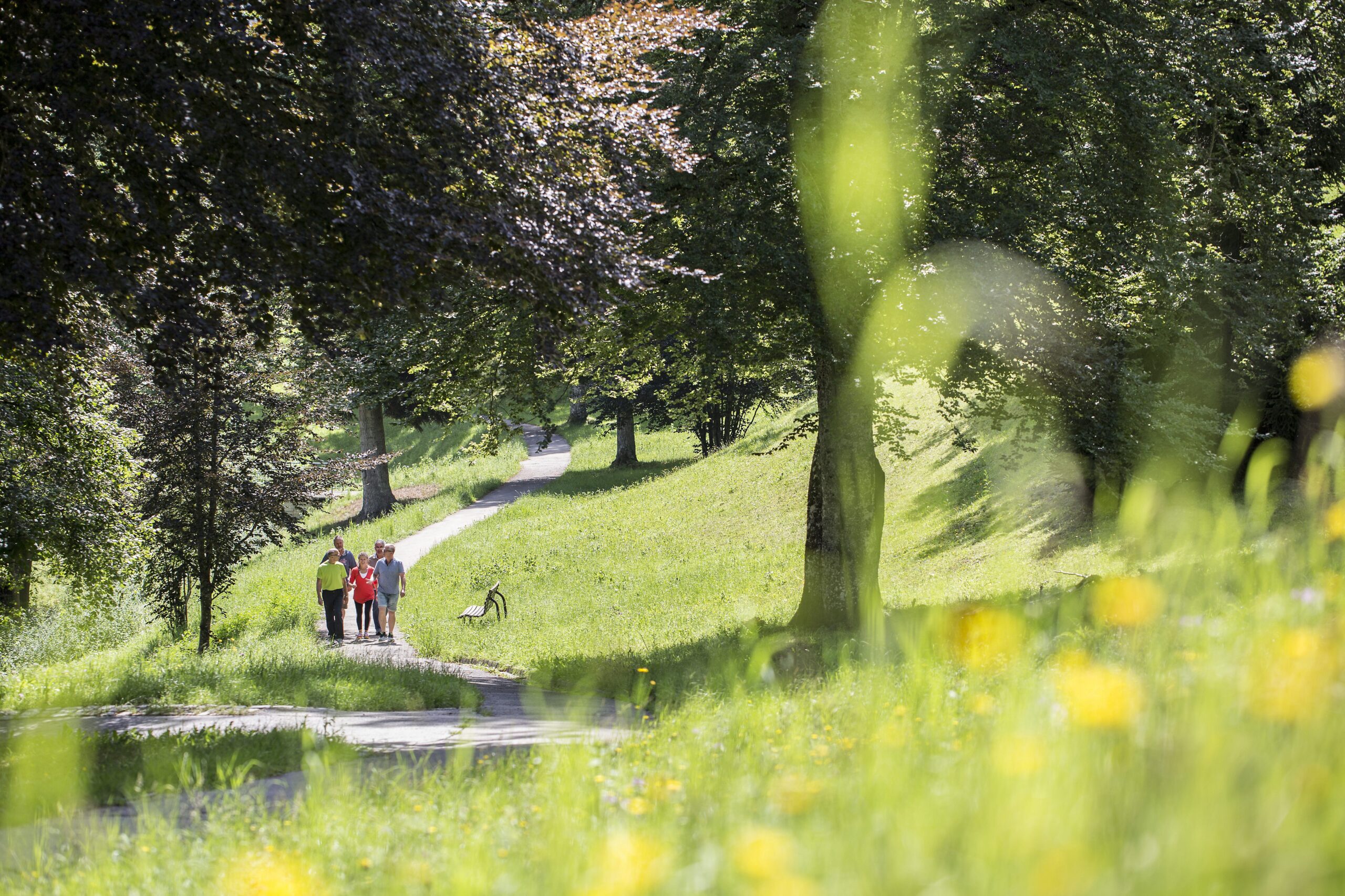 20240606 Insektenförderndes Klinikgelände_Rehaklinik Überruh_Bild