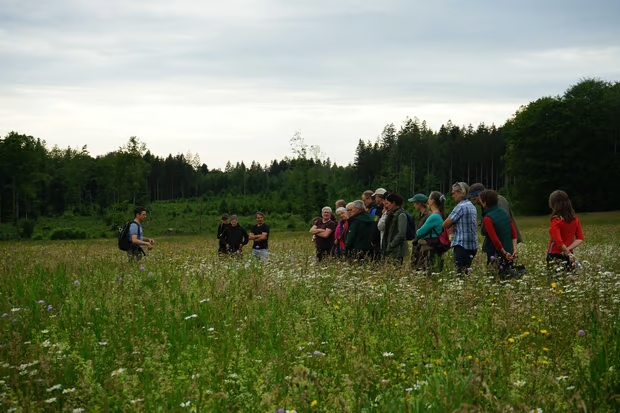 Besichtigung Blühfläche in Gruppe
