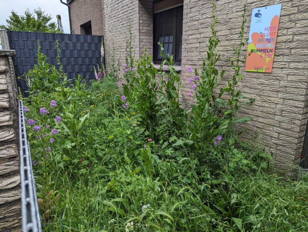 PHOTO-2024-05-21-16-19-15-4