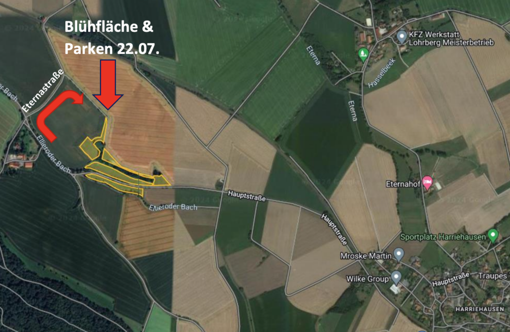 Bluehflaechenfuehrung_Harriehausen-1