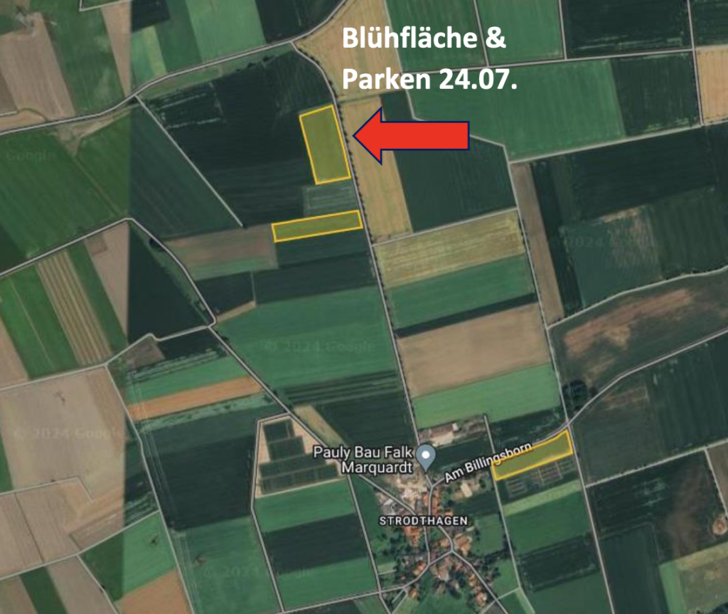 Bluehflaechenfuehrung_Strodthagen Bluehflaechenfuehrung_Strodthagen