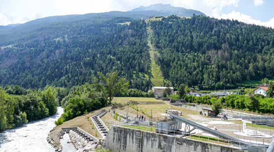 Vinschger_Blumenwiese-Alperia