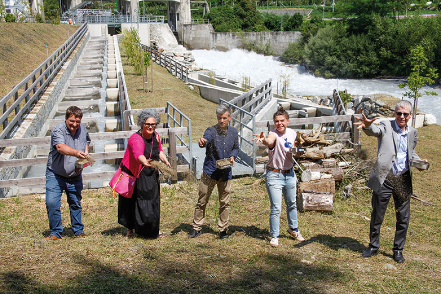 a043bd77f1ab031b51a6c47518a8d224_XL