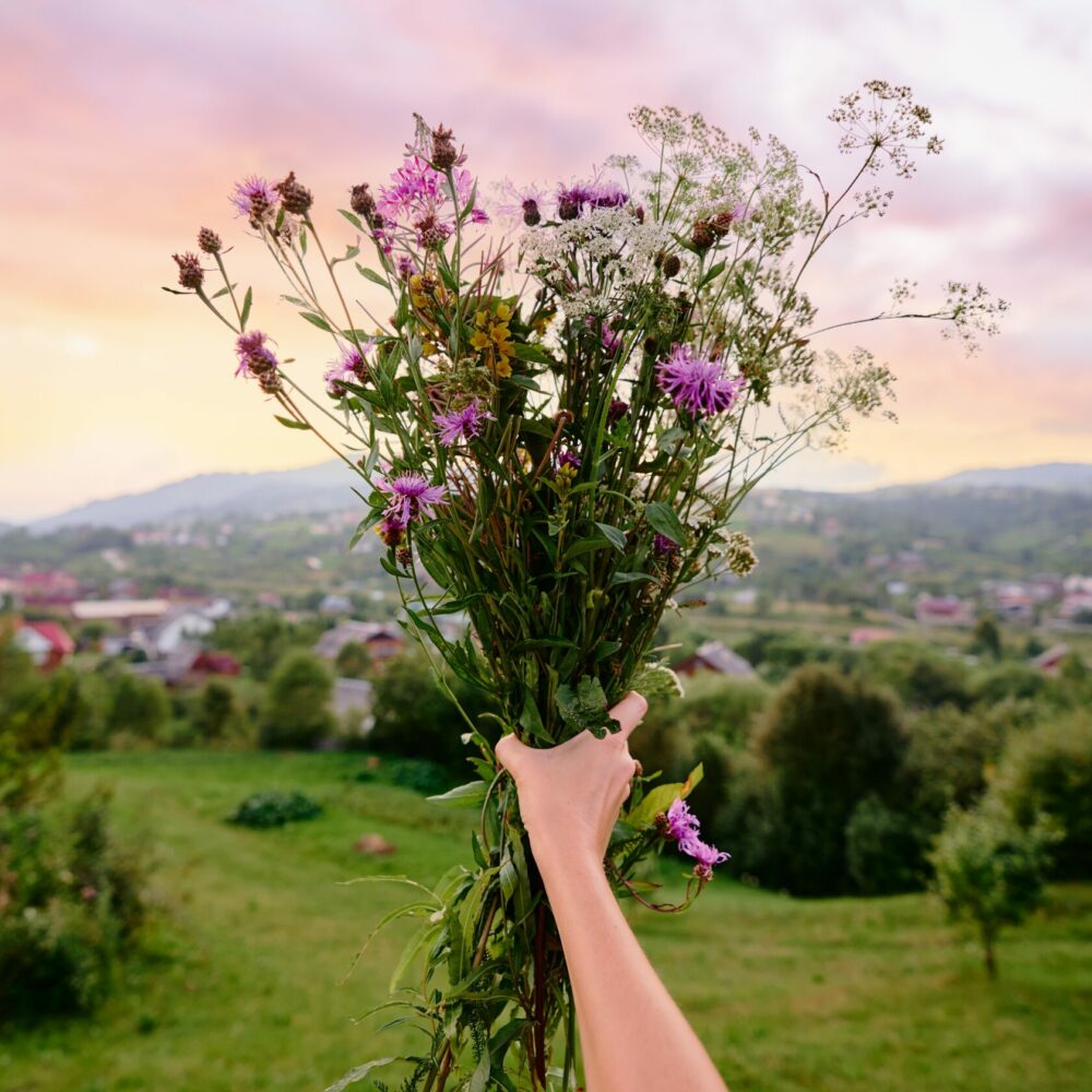 Wildblumenstrauß in Hand vor einer artenreichen Landschaft