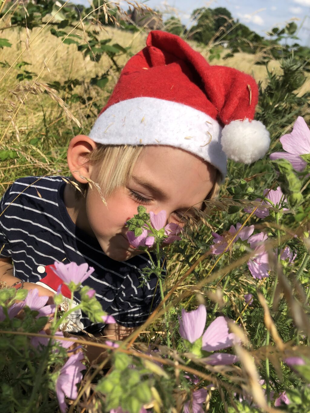 Weihnachten im Sommer