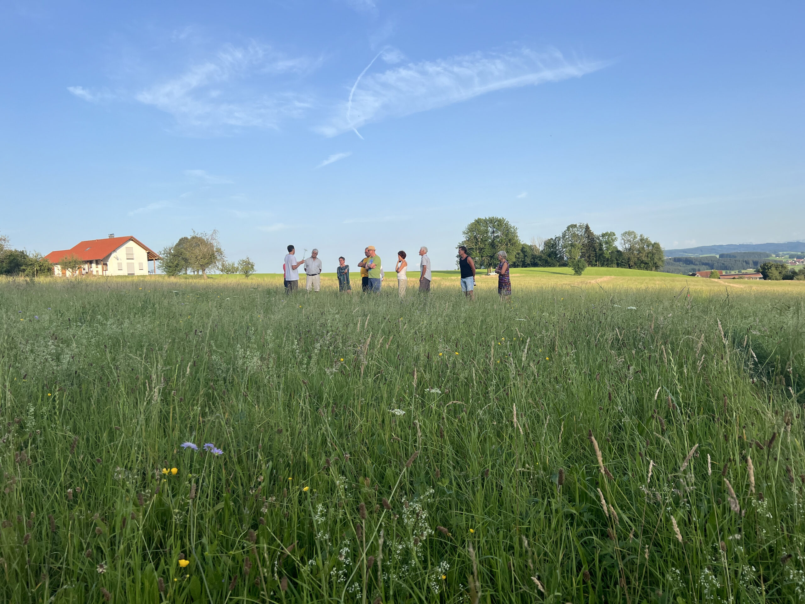 202407_LIFE IFR_Allgäu_Viola Taubmann_IMG_4318