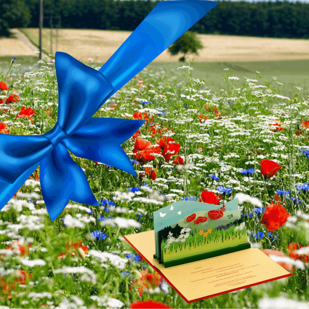 Blühmischung auf Acker mit einer blauen Schleife und einer Postkarte im Vordergrund