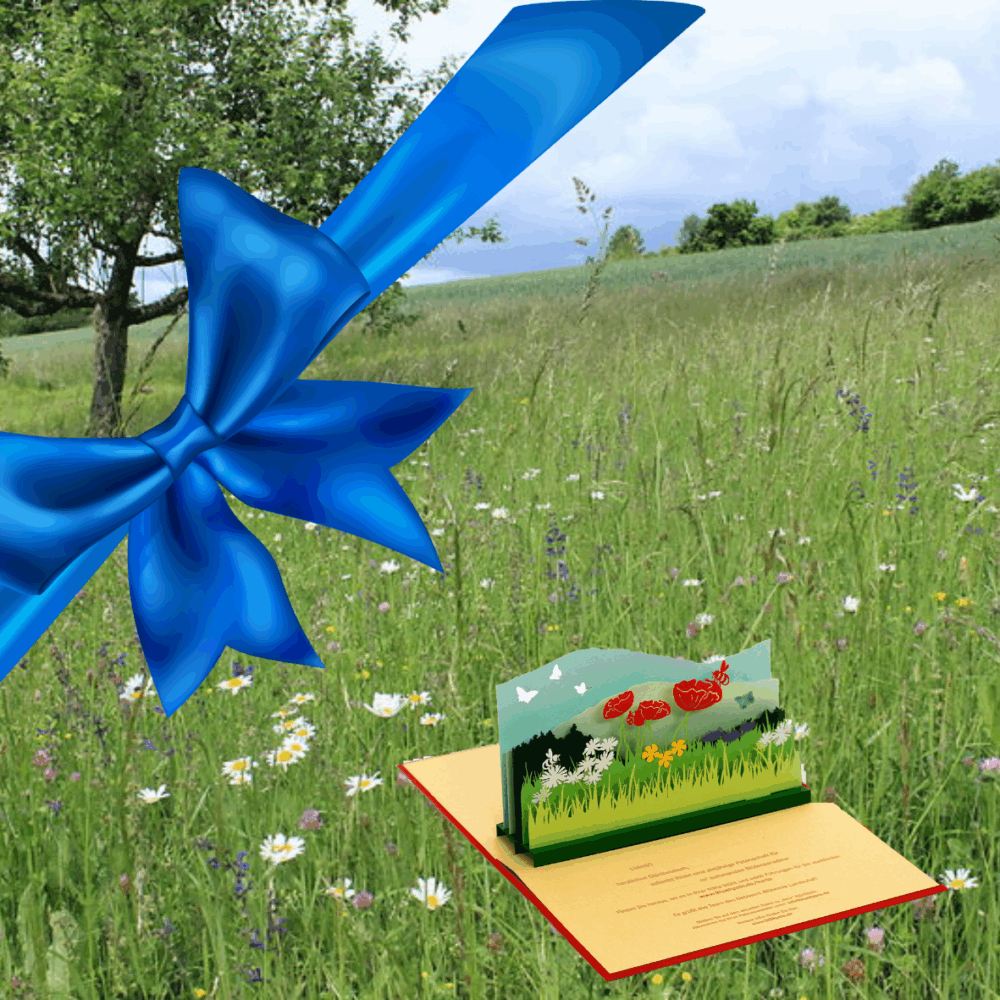 Geschenkpatenschaft Wiesenwächter