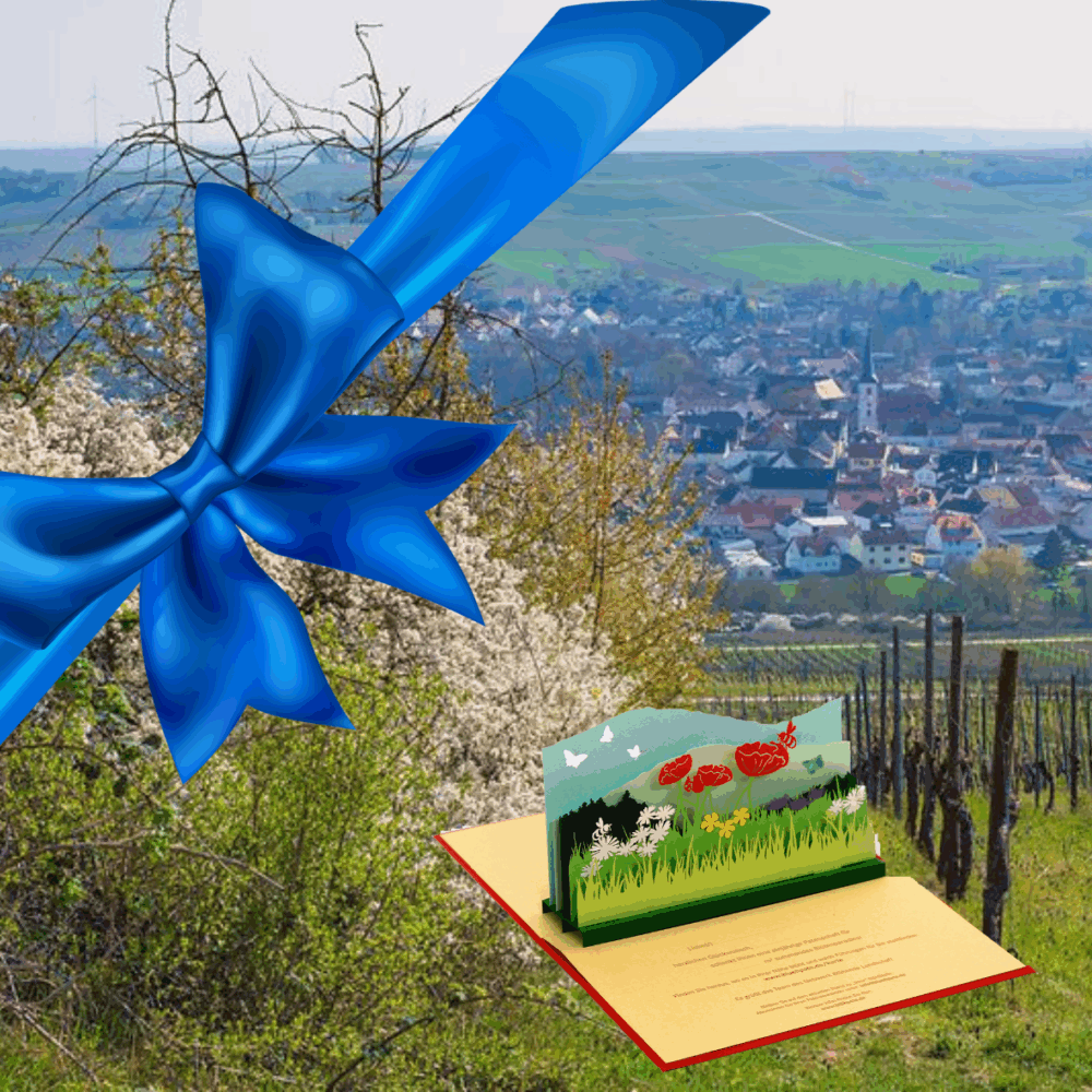 Eine Hecke neben einem Weinberg mit einer blauen Schleife und einer Postkarte im Vordergrund