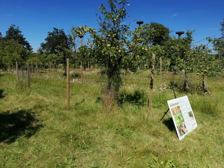 Christiane_Foerster_BBR_PHOTO-2024-06-09-21-53-40