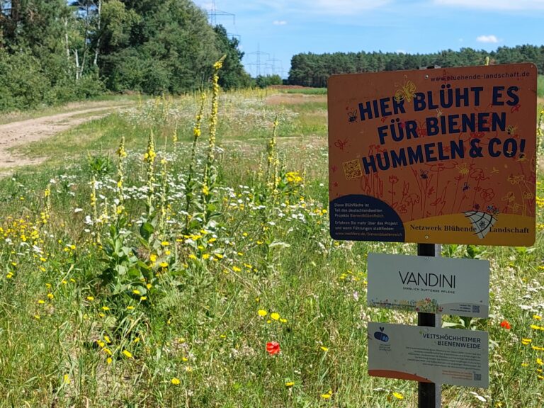 Kerstin_Pahl_BBR_20240706_140529_resized