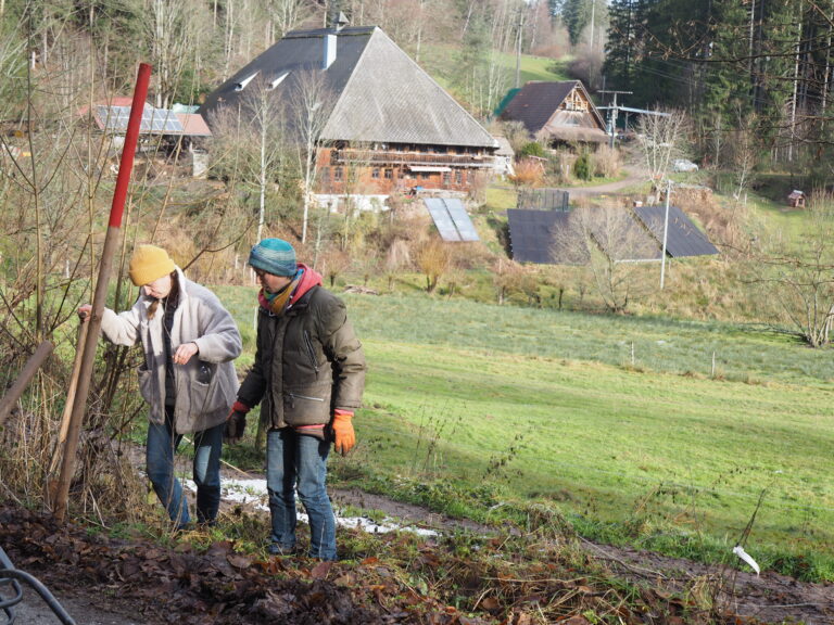 Heckenpflanzung Untermuehlbachhof