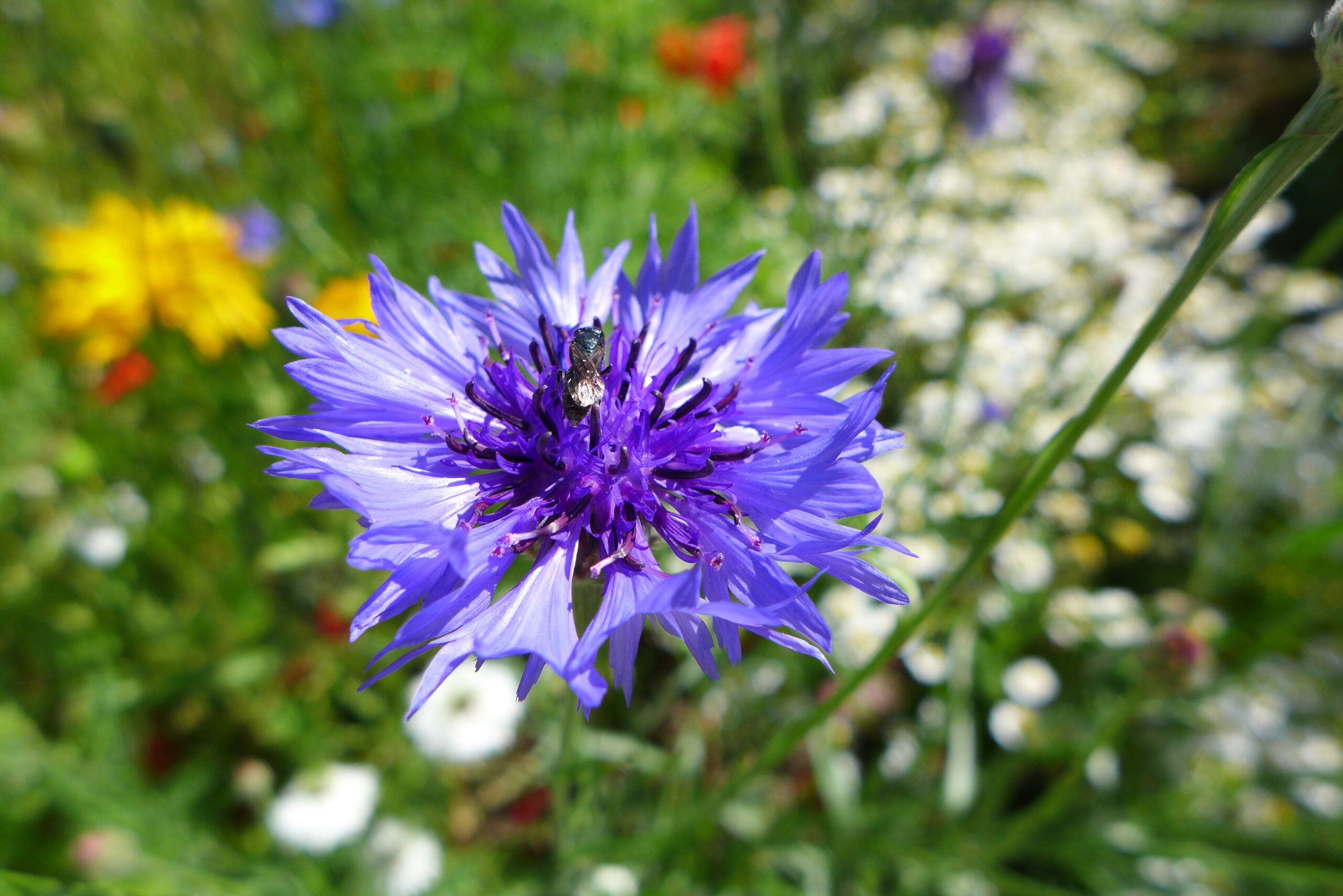 Sabine Leisten_Fotowettbewerb_Winter16