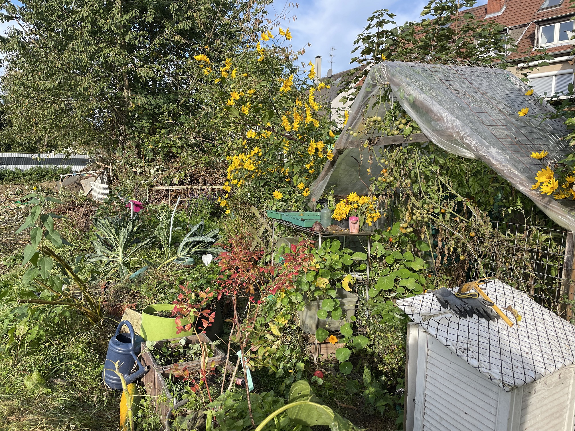 NBL_RG_Bottrop_Klimagärtnern_TerraPreta