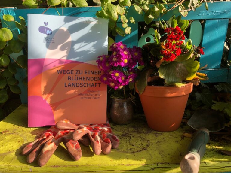 Linda-Trein_Handbuch_IMG_6559