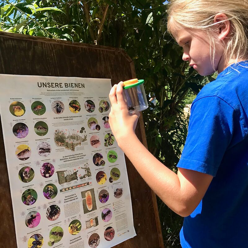 Unsere-Bienen-Plakat-Workshop-2-c-Silke-Meyer
